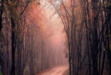 西甲第16輪巴列卡諾1-0西班牙人 卡夫雷拉自擺烏龍武磊替補未出場.