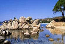 金年会体育官网入口：西甲第26輪馬德裏競技2-0塞爾塔 洛迪梅開二度孔多比亞傷退.